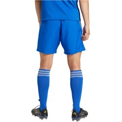 adidas Tastigo 25 Trainingsshorts Herren JN7159 - team...