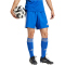 adidas Tastigo 25 Trainingsshorts Herren JN7159 - team royal blue XS