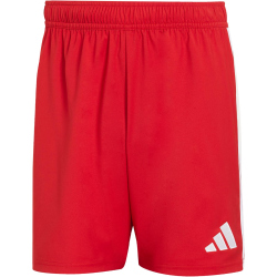 adidas Tastigo 25 Trainingsshorts Herren JN7157 - team...