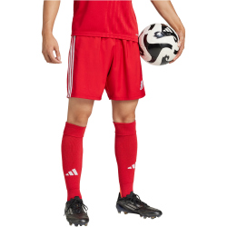 adidas Tastigo 25 Trainingsshorts Herren JN7157 - team...