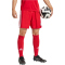 adidas Tastigo 25 Trainingsshorts Herren JN7157 - team power red 2 XS