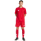 adidas Tastigo 25 Trainingsshorts Herren JN7157 - team power red 2 XS