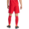 adidas Tastigo 25 Trainingsshorts Herren JN7157 - team power red 2 XS