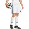 adidas Tastigo 25 Trainingsshorts Herren JN7156 - white XS