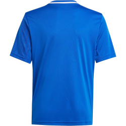 adidas Campeon 25 Fußballtrikot Kinder JJ4171 - team royal blue/white 116