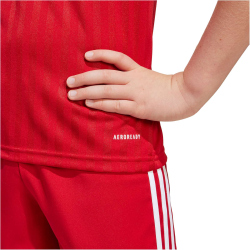 adidas Campeon 25 Fußballtrikot Kinder JJ4168 -...