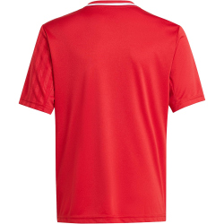 adidas Campeon 25 Fußballtrikot Kinder JJ4168 - team power red 2/white 116