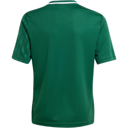 adidas Campeon 25 Fußballtrikot Kinder JJ4167 - team dark green/white 116