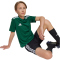adidas Campeon 25 Fußballtrikot Kinder JJ4167 - team dark green/white 116