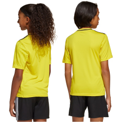adidas Campeon 25 Fußballtrikot Kinder JJ4164 -...