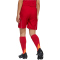 adidas Tiro 25 Competition Match Fußballshorts Kinder JP4740 - team power red 2/team light grey 116