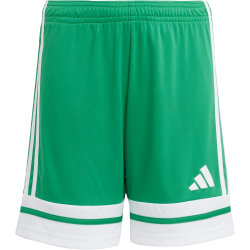 adidas Squadra 25 Fußballshorts Kinder JN7484 - team green/white 140