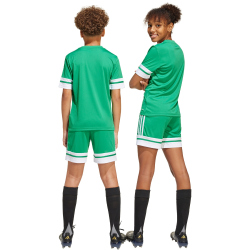 adidas Squadra 25 Fußballshorts Kinder JN7484 - team green/white 140