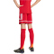 adidas Squadra 25 Fußballshorts Kinder JN5456 - team power red 2/team power red 2/white 140