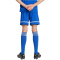 adidas Squadra 25 Fußballshorts Kinder JN5455 - team royal blue/team royal blue/white 116