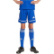 adidas Squadra 25 Fußballshorts Kinder JN5455 - team royal blue/team royal blue/white 140