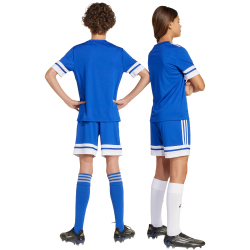 adidas Squadra 25 Fußballshorts Kinder JJ2419 - team royal blue/white 128