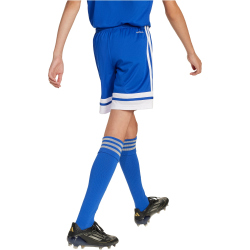 adidas Squadra 25 Fußballshorts Kinder JJ2419 - team royal blue/white 128