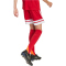 adidas Squadra 25 Fußballshorts Kinder JJ2416 - team power red 2/white 116