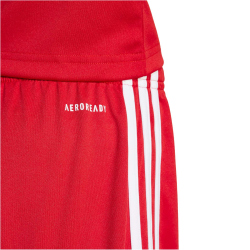 adidas Squadra 25 Fußballshorts Kinder JJ2416 - team power red 2/white 128