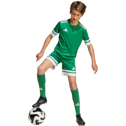 adidas Squadra 25 Fußballtrikot Kinder JN7486 - team green/white 128