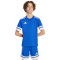 adidas Squadra 25 Fußballtrikot Kinder JJ0054 - team royal blue/white 116