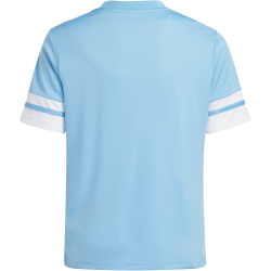 adidas Squadra 25 Fußballtrikot Kinder JJ0050 - team light blue/white 128
