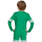 adidas Squadra 25 langarm Fußballtrikot Kinder JN7491 - team green/white 116