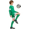adidas Squadra 25 langarm Fußballtrikot Kinder JN7491 - team green/white 116
