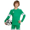 adidas Squadra 25 langarm Fußballtrikot Kinder JN7491 - team green/white 116