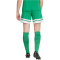 adidas Squadra 25 Fußballshorts Damen JN7483 - team green/white S
