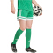 adidas Squadra 25 Fußballshorts Damen JN7483 - team green/white S