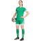 adidas Squadra 25 Fußballshorts Damen JN7483 - team green/white S