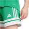 adidas Squadra 25 Fußballshorts Damen JN7483 - team green/white S