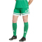 adidas Squadra 25 Fußballshorts Damen JN7483 - team green/white S