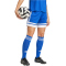 adidas Squadra 25 Fußballshorts Damen JJ0015 - team royal blue/white S