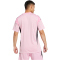adidas Tiro 25 Competition kurzarm Torwarttrikot Herren JI9720 - true pink XXL