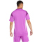 adidas Tiro 25 Competition kurzarm Torwarttrikot Herren JI9719 - purple burst XL