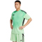 adidas Tiro 25 Competition kurzarm Torwarttrikot Herren JI9716 - glory mint XL