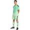adidas Tiro 25 Competition kurzarm Torwarttrikot Herren JI9716 - glory mint XL