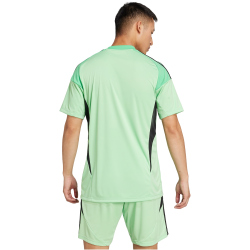 adidas Tiro 25 Competition kurzarm Torwarttrikot Herren JI9716 - glory mint XXL