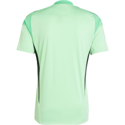 adidas Tiro 25 Competition kurzarm Torwarttrikot Herren JI9716 - glory mint XXL