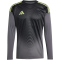 adidas Tiro 25 Competition Torwarttrikot Herren JN2017 - grey five XL