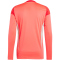 adidas Tiro 25 Competition Torwarttrikot Herren JI9724 - shock red S
