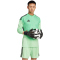 adidas Tiro 25 Competition Torwarttrikot Herren JI9723 - glory mint XL