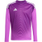 adidas Tiro 25 Competition Torwarttrikot Kinder JJ1934 - purple burst 128