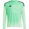 adidas Tiro 25 Competition Torwarttrikot Kinder JI9730 - glory mint 128