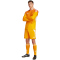 adidas Tiro 24 Trainingsshorts Herren JN4497 - crew orange/white 3XL