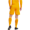 adidas Tiro 24 Trainingsshorts Herren JN4497 - crew orange/white 3XL