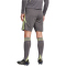 adidas Tiro 24 Trainingsshorts Herren JN1993 - grey five/pulse lime S